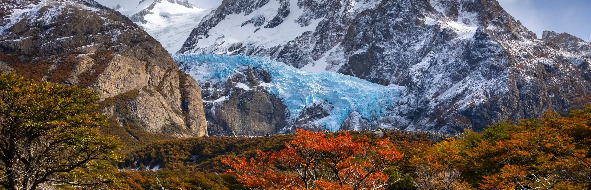 Glaciar Piedras Blancas sobre el bosque de ñires en otoño, Parque Nacional Los Glaciares