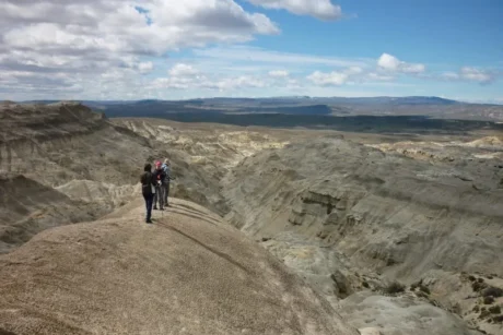 Bosque Petrificado desde El Chaltén - Tour en El Calafate, Patagonia Argentina