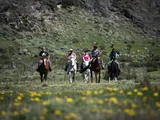 Jinetes y baqueano cabalgando entre flores amarillas en los campos de Estancia Bonanza