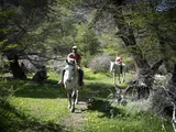 Cabalgata por un sendero entre bosque de &ntilde;ires en Estancia Bonanza